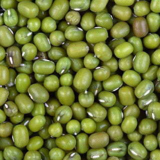 XO Green Mung Bean 454g