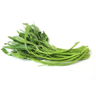[Fresh] Ipomoea Aquatica/Water spinach/Kang Kong 200g
