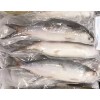 [Frozen] Milk Fish - Whole 300-500g 2.5kg