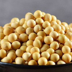 Zheng Feng Soy Bean 400g